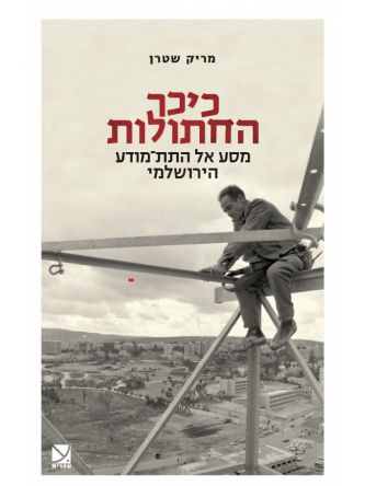 כיכר החתולות