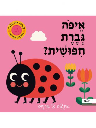 איפה גברת חפושית