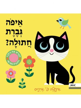 איפה גברת חתולה