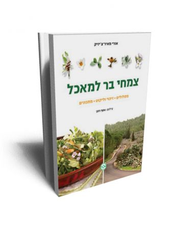 צמחי בר למאכל