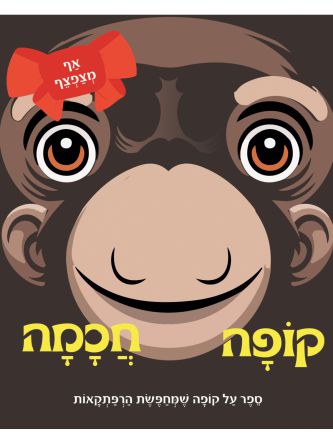 אף מצפצף- קופה חכמה