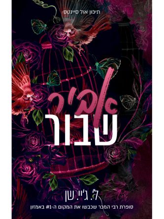 אביר שבור 2 תיכון אול סיינטס 2