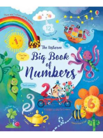 BIG BOOK OF NUMBERS