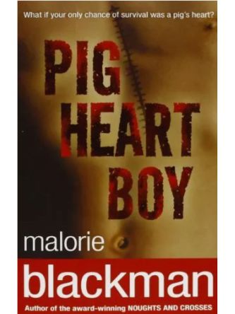 PIG-HEART BOY