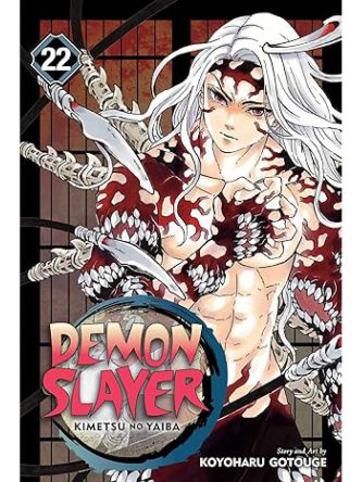 DEMON SLAYER VOL 22