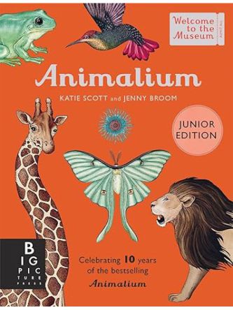 ANIMALIUM (JUNIOR EDITION)