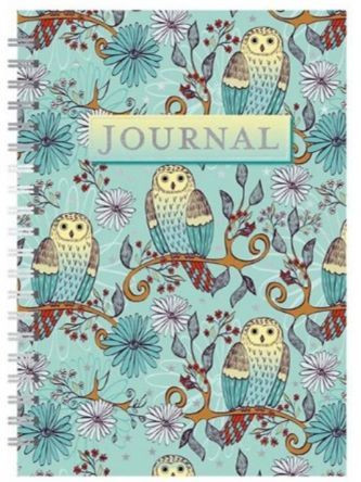 OWLS IN TEAL JOURNAL
