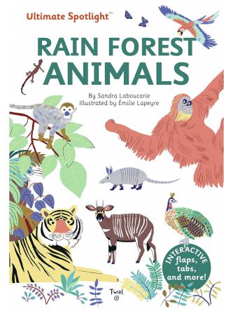 RAIN FOREST ANIMALS