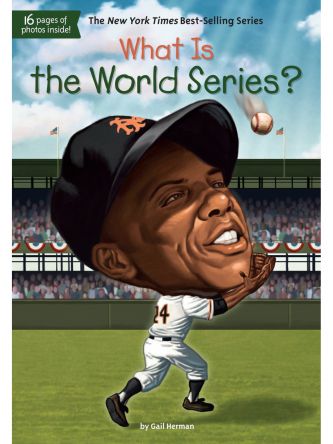 WHAT IS THE WORLD SERIES?