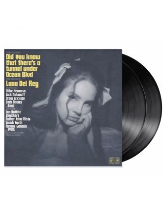 DID YOU KNOW THAT THERE’S A TUNNEL UNDER OCEAN BLVD 2LP